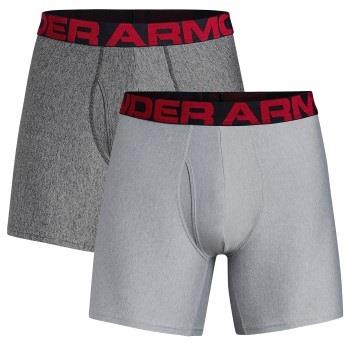 Under Armour Kalsonger 2P Tech 6in Boxers Grå polyester Medium Herr