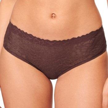 Sloggi Trosor ZERO Feel Lace 2.0 Hipster Brun Small Dam