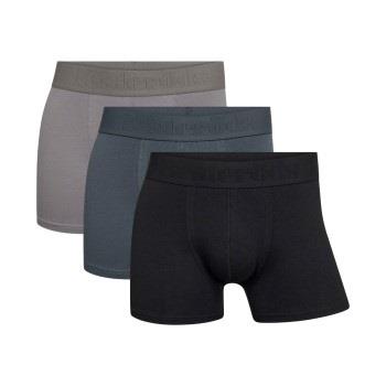 Resteröds Kalsonger 3P Organic Cotton Boxer Regular Leg Flerfärgad eko...