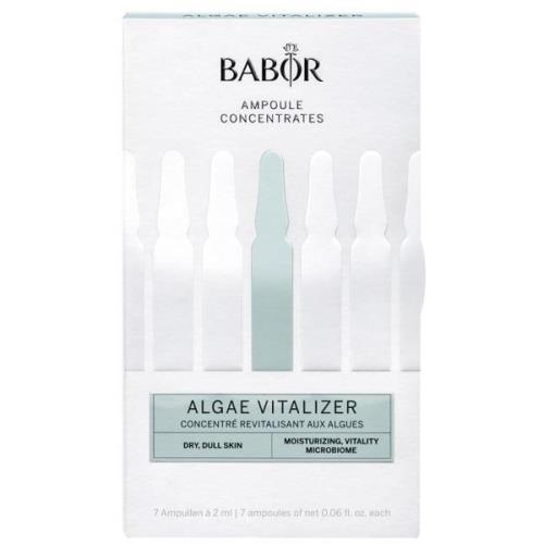 Babor Ampoule Algae Vitalizer 14 ml