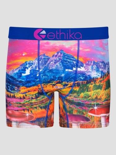 Ethika Magic Mushiez - Mid Boxershorts blue/purple