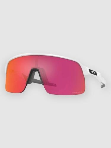 Oakley Sutro Lite Matte White Solglasögon prizm field