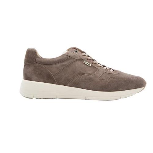 Greve Taupe Sneakers för Nederländska Män Beige, Herr