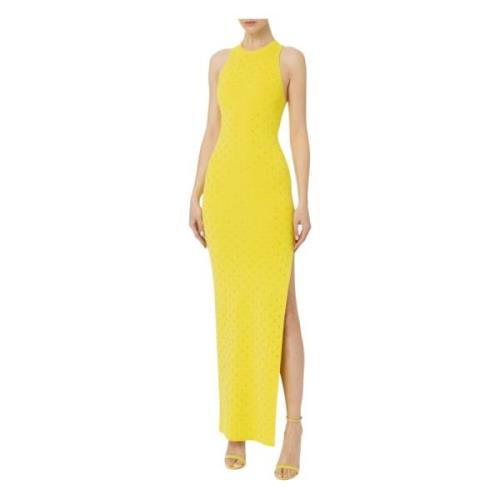 Elisabetta Franchi Red Carpet Draperad Cupro Klänning Yellow, Dam