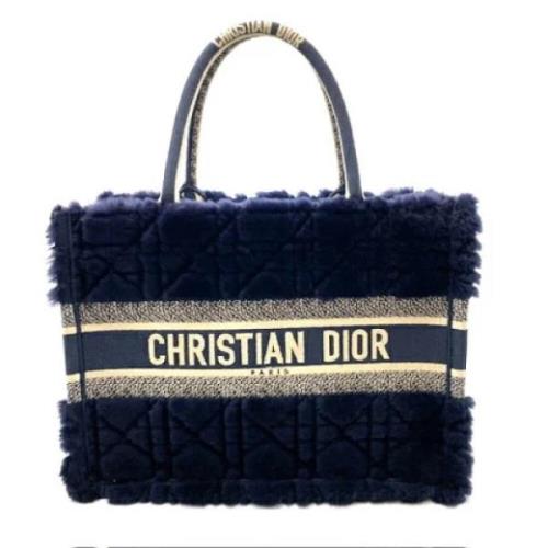 Dior Vintage Pre-owned Tyg dior-vskor Blue, Dam