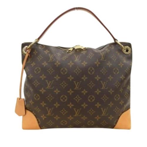 Louis Vuitton Vintage Pre-owned Canvas axelremsvskor Brown, Dam