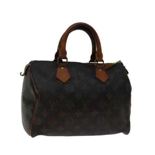 Louis Vuitton Vintage Pre-owned Canvas handvskor Brown, Dam