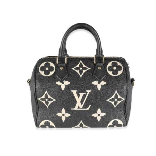 Louis Vuitton Vintage Pre-owned Laeder louis-vuitton-vskor Black, Dam