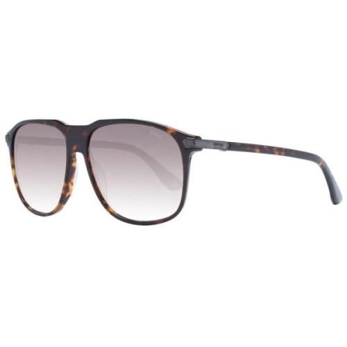 BMW Brun Aviator Solglasögon Gradient Linser Brown, Unisex