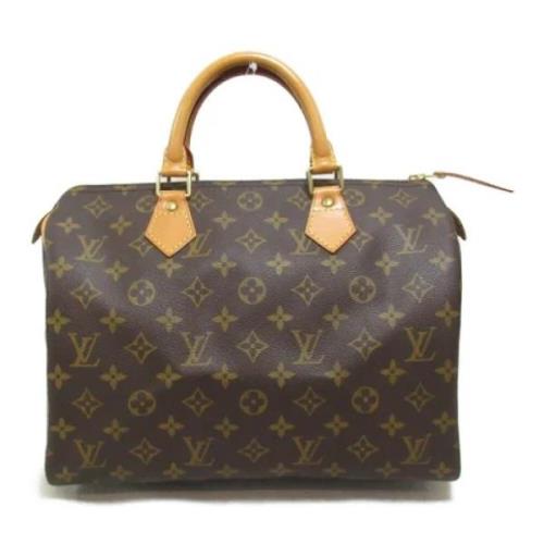 Louis Vuitton Vintage Pre-owned Plast louis-vuitton-vskor Brown, Dam