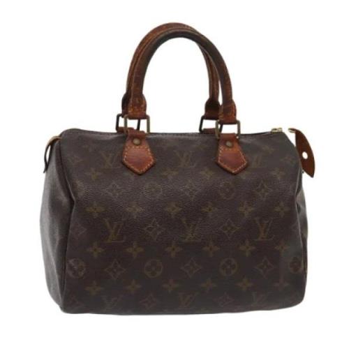 Louis Vuitton Vintage Pre-owned Canvas handvskor Brown, Dam