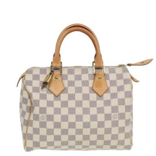 Louis Vuitton Vintage Pre-owned Canvas handvskor Gray, Dam