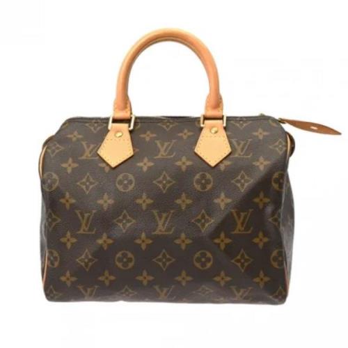 Louis Vuitton Vintage Pre-owned Canvas handvskor Brown, Dam