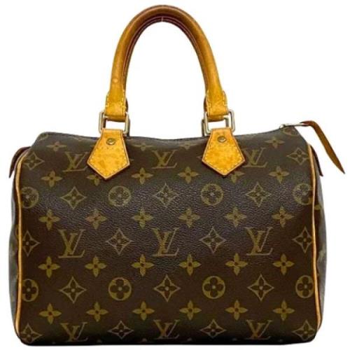 Louis Vuitton Vintage Pre-owned Canvas handvskor Brown, Dam