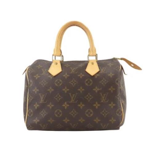 Louis Vuitton Vintage Pre-owned Canvas handvskor Brown, Dam