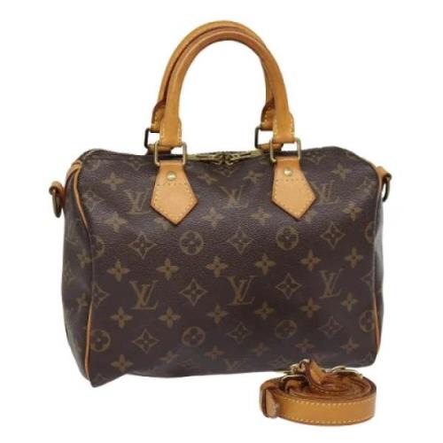 Louis Vuitton Vintage Pre-owned Canvas handvskor Brown, Dam