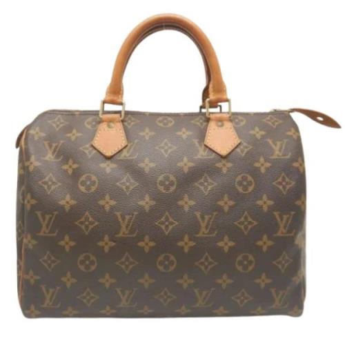 Louis Vuitton Vintage Pre-owned Plast louis-vuitton-vskor Brown, Dam