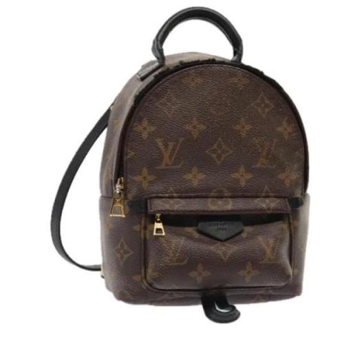 Louis Vuitton Vintage Pre-owned Canvas ryggsckar Brown, Dam