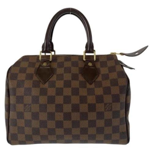 Louis Vuitton Vintage Pre-owned Canvas handvskor Brown, Dam