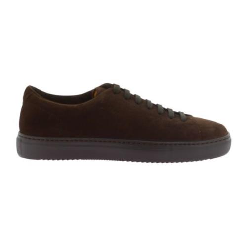 Doucal's Brun Sneaker Brown, Herr