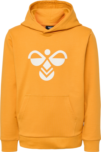 Hummel Kids' hmlCUATRO Hoodie Butterscotch