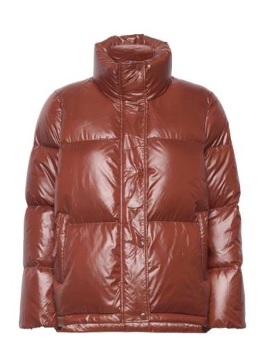 GANT D1. Cropped Down Jacket Brun