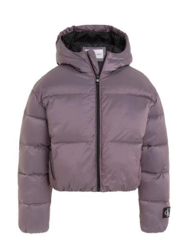 Calvin Klein Hyper Two T Padded Bomber Lila