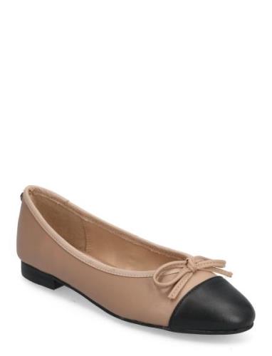 Ellison Ballerina Ballerinaskor Ballerinas Beige Steve Madden