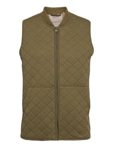 Thermo Gilet Eden Adult Vests Padded Vests Green Wheat