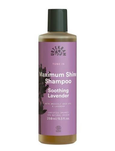 Maximum Shine Shampoo Soothing Lavender Shampoo 250 Ml Schampo Nude Ur...