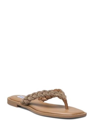 Steve Madden Amily-R Sandal Beige