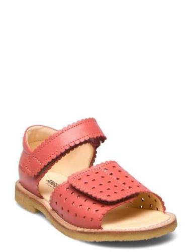Sandals - Flat - Open Toe - Clo Shoes Summer Shoes Sandals  ANGULUS