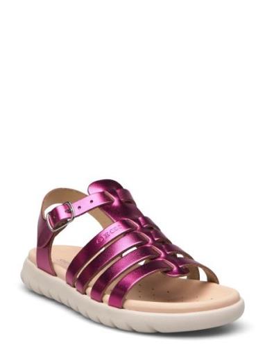 J Sandal Soleima Gir Shoes Summer Shoes Sandals Pink GEOX