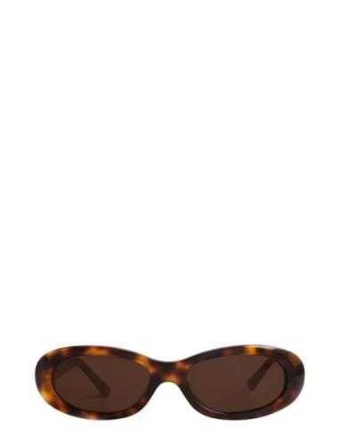 Corlin Eyewear Louis Tortoise Brown Brun