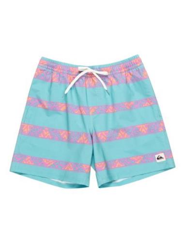 Take Us Back Vl 17 Badshorts Blue Quiksilver