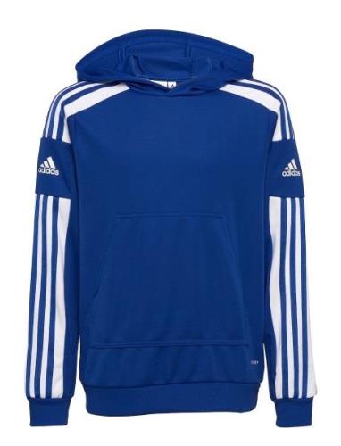 Adidas Performance Squadra21 Hoody Youth Blå