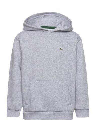 Lacoste Sweatshirts Grå