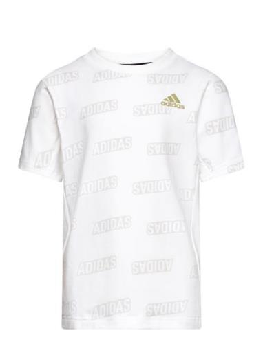 Adidas Sportswear Jb Bluv Q4Aop T Vit