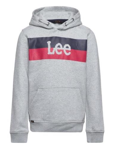 Lee Jeans Stripe Logo Bb Oth Hoodie Grå