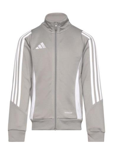 Tiro24 Trjkty Sport Sweat-shirts & Hoodies Sweat-shirts Grey Adidas Pe...