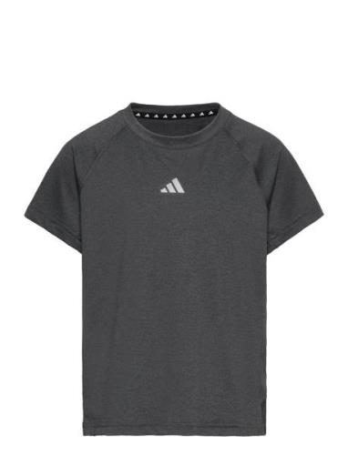 Jg Tee Lux Sport T-shirts Short-sleeved Grey Adidas Sportswear
