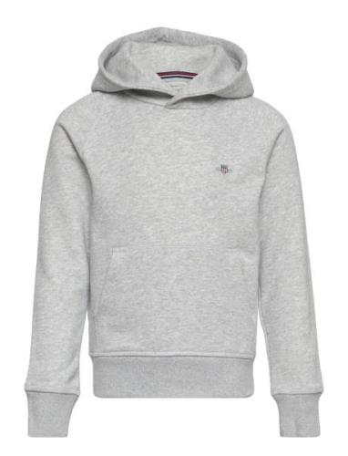 GANT Shield Hoodie Grå