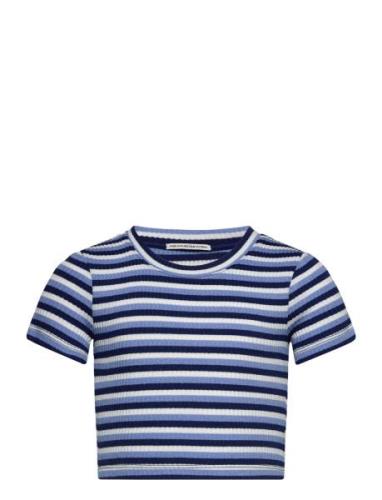Cropped Striped Rib T-Shirt Tops T-shirts Short-sleeved Blue Tom Tailo...