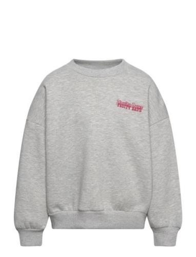 Sofie Schnoor Baby And Kids Sweatshirt Grå