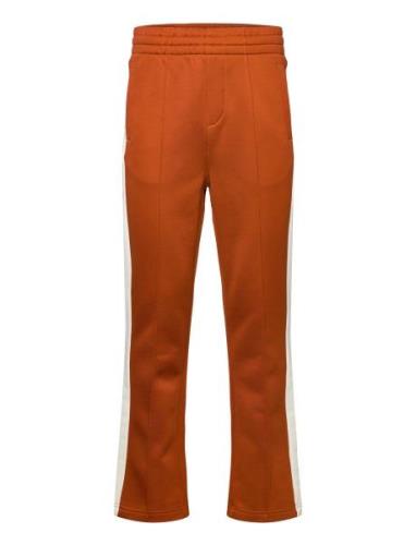 Track Pants Bottoms Trousers Casual Orange GANT