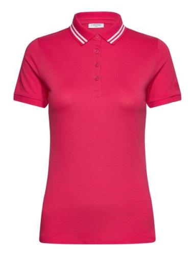 Calvin Klein Golf Brightmeadow Polo Röd