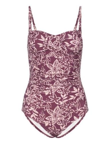 Bologna Swimsuit Baddräkt Badkläder Purple Missya