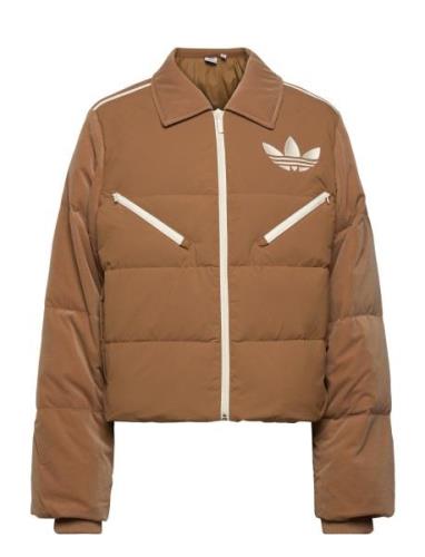 Velvet Puffer Sport Jackets Padded Jacket Brown Adidas Originals