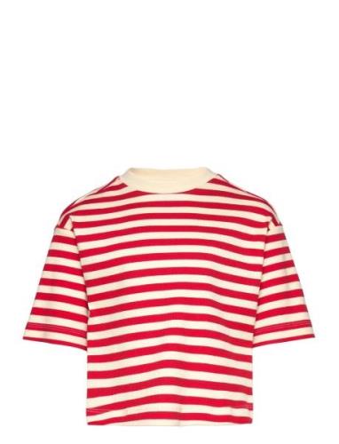 T-Shirt Tops T-shirts Short-sleeved Red Sofie Schnoor Young