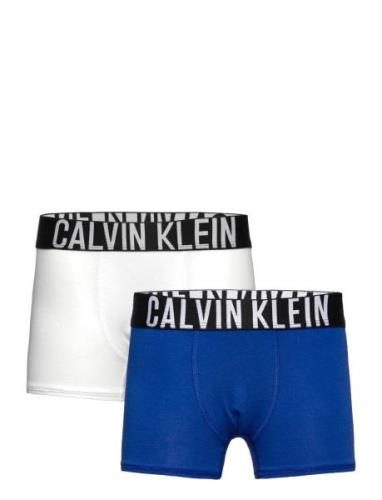2Pk Trunk Night & Underwear Underwear Underpants Multi/patterned Calvi...